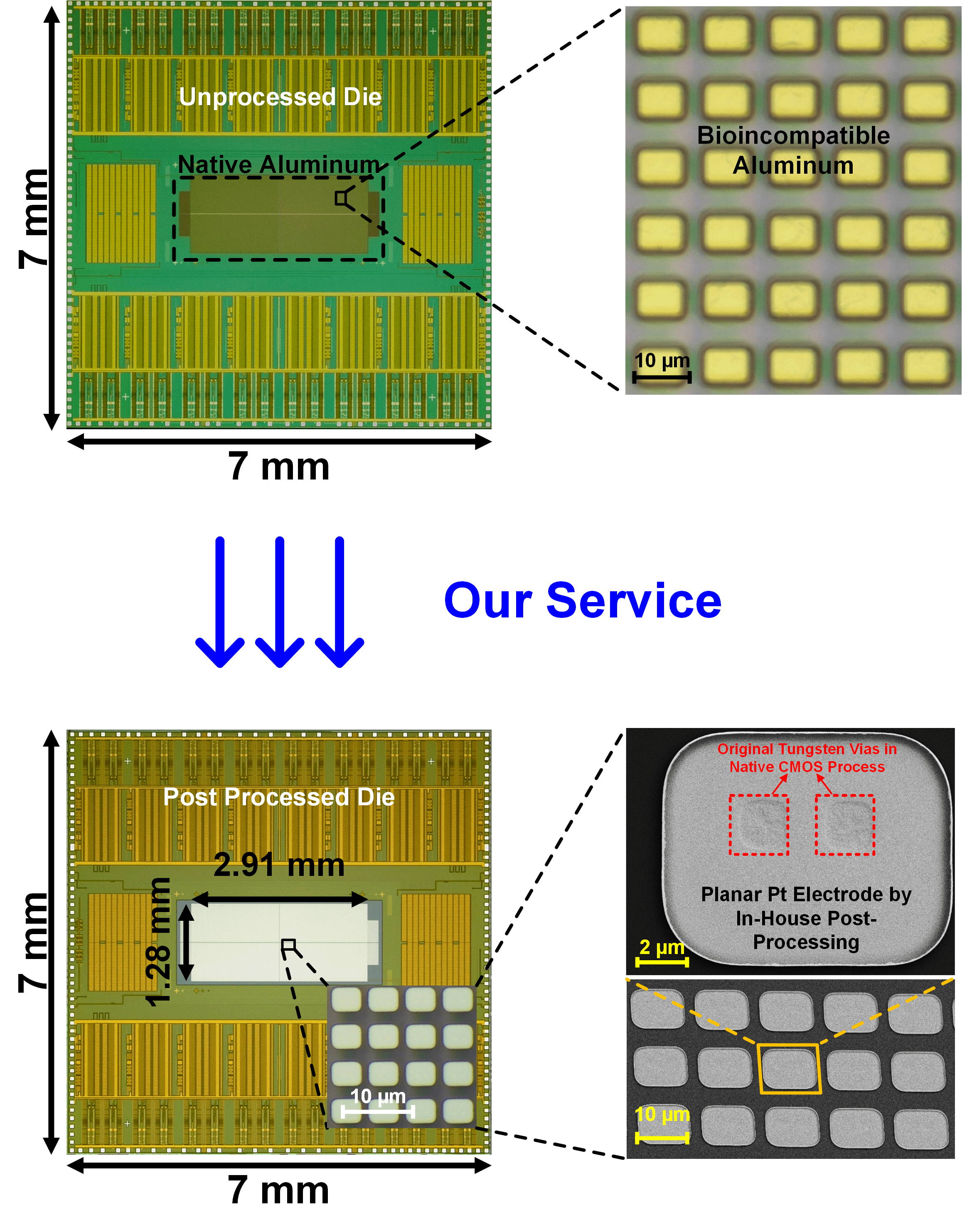 (Top) An unprocessed die with native top metal aluminum electrodes covered by CMOS passivation. (Bottom) Using our in-house post processing we achieve an on-chip platinum microelectrode array with high yield showing a 100% successful uniform biocompatible Pt electrode fabrication on chip with 24k electrically isolated pixels with no peel off. A zoomed in SEM image (bottom right) shows the uniform, planar, and conformal morphology of fabricated on-chip electrodes.