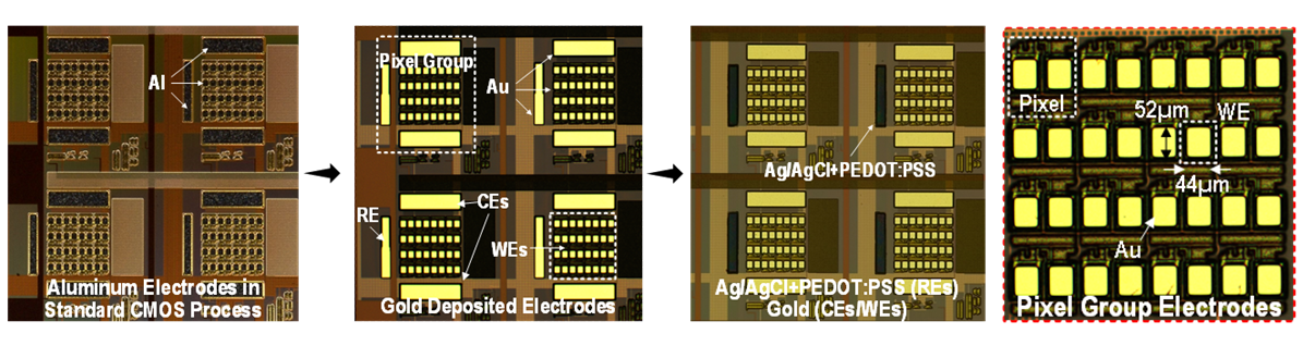 Microscopic Images of the multi-modal CMOS chip taken after key fabrication stages. From left to right the steps are as follows: (1) image of the bioincompatible, native aluminum electrodes taken in dark field, (2) stripping of the native aluminum electrodes which are replaced by a conformal gold coating, (3) selective coating of certain areas in Ag/AgCl and PEDOT:PSS tailored for applications in electrochemistry, (4) zoomed-in optical view of the gold working electrodes.